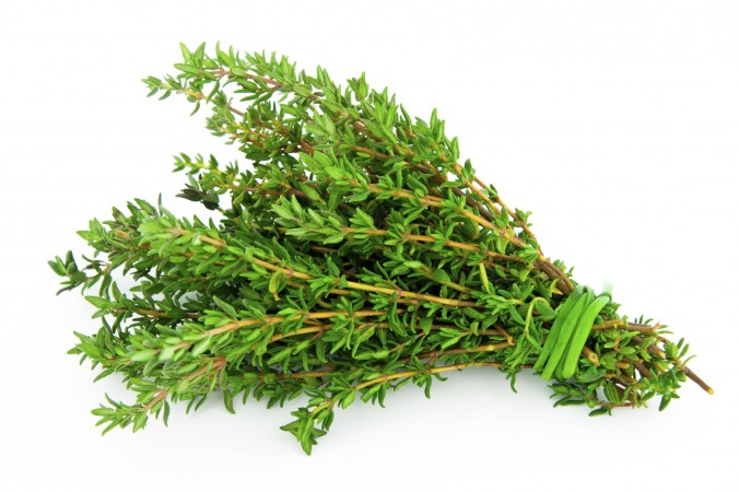 Thyme